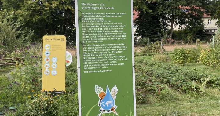 Der Weltacker in Osnabrück – ein Ereignis