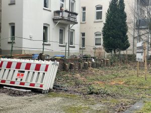 Baumfällaktion im Katharinenviertel