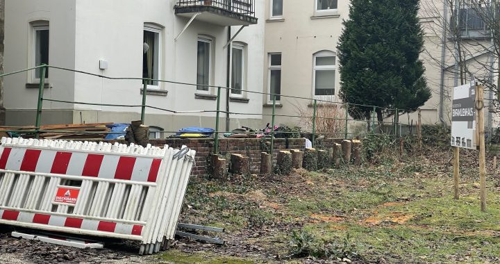 Baumfällaktion im Katharinenviertel